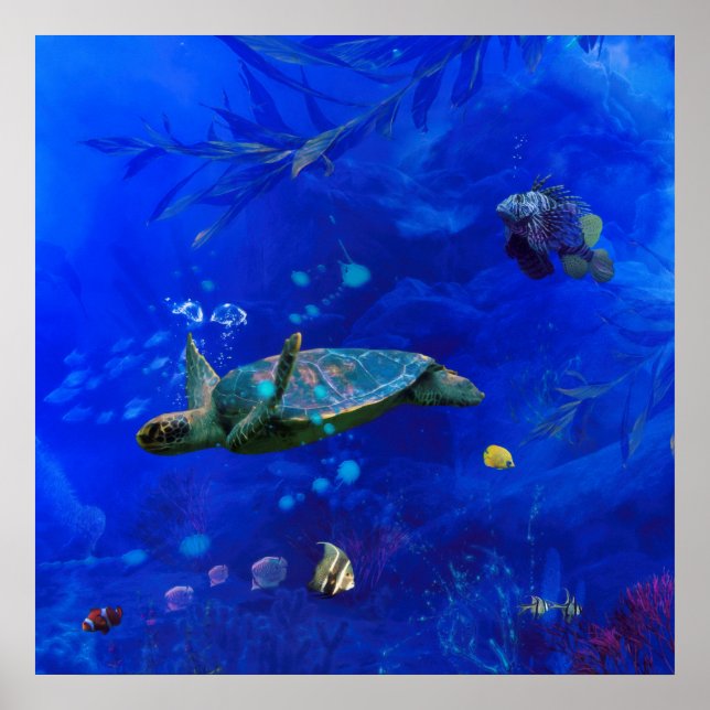 AFFICHE VENT DE TORTUE DE MER SUR L'EAU (Devant)