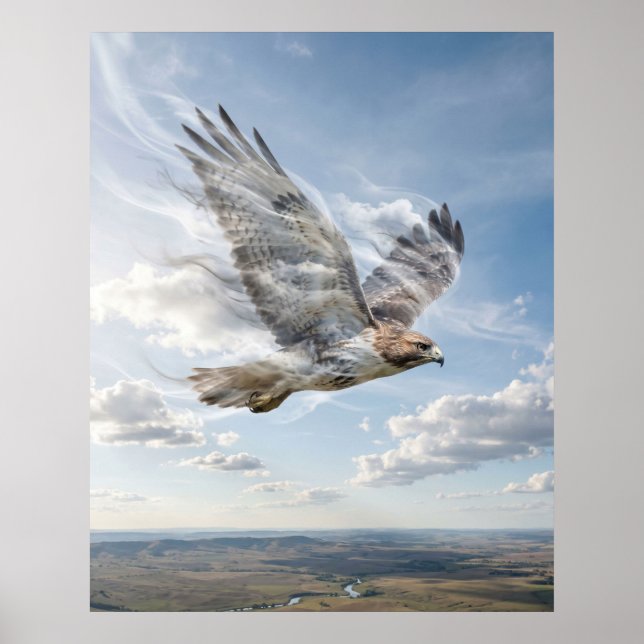 Affiche Vent Faucon Horizon Ouvert (Devant)