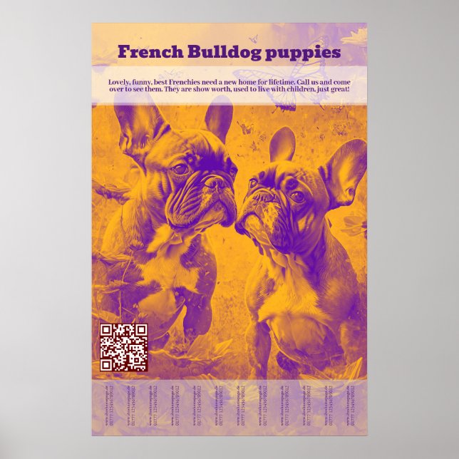 Affiche Vente de chiots Bouledogue Français - Déchirer (Devant)