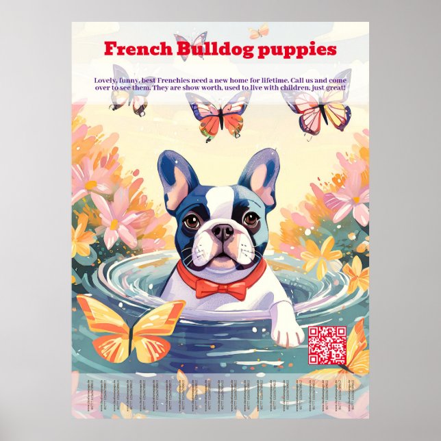 Affiche Vente de chiots Bouledogue Français - Déchirer (Devant)