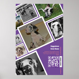 Affiche Vente énorme de chien