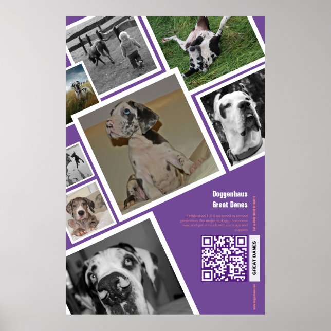 Affiche Vente énorme de chien (Devant)