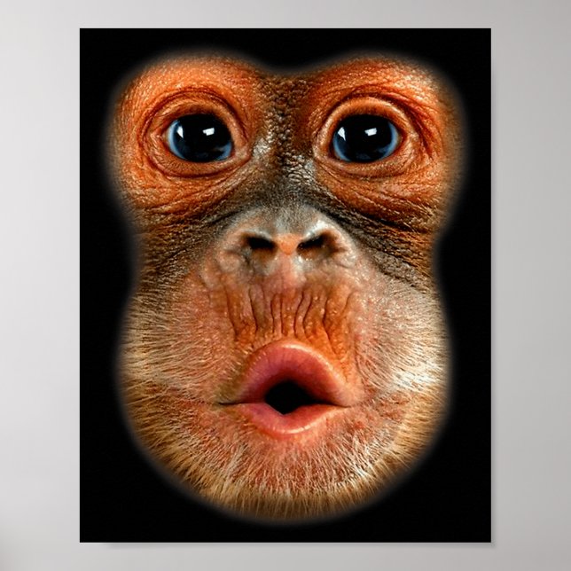 Affiche Ventre de singe Mème drôle Vidéo virale cool  (Devant)