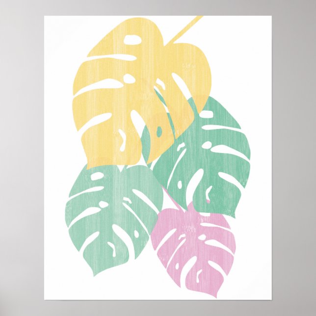 Affiche Verdure tropicale - Monstera Feuilles (Devant)