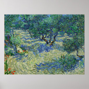 Affiche Verger d'oliviers, Vincent van Gogh