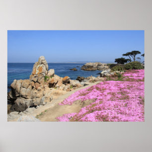 Affiche Verger Pacifique