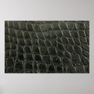 Affiche Véritable alligator noir texture cuir, gros plan