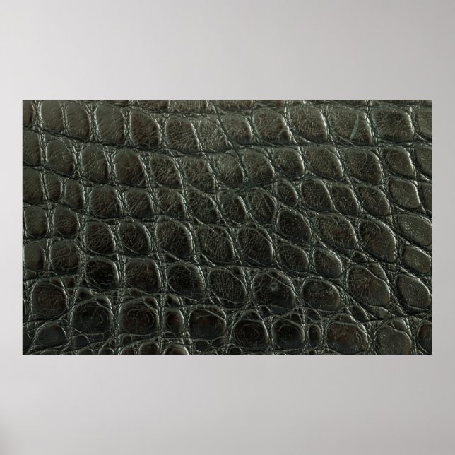 Affiche Véritable alligator noir texture cuir, gros plan (Devant)