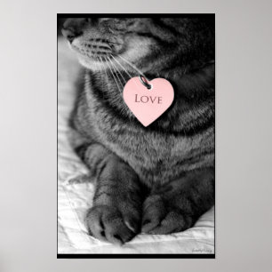 Affiche Véritable Amour