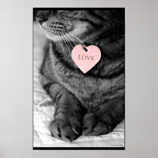 Affiche Véritable Amour