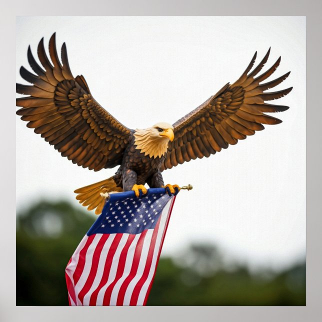 AFFICHE VÉRITABLE BALD EAGLE VOL AVEC DRAPEAU AMÉRICAIN (Devant)