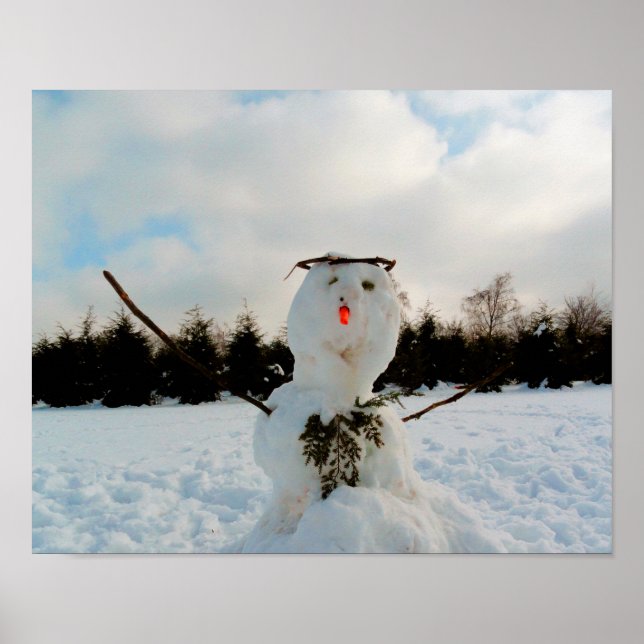 Affiche Véritable photo de snowman (Devant)