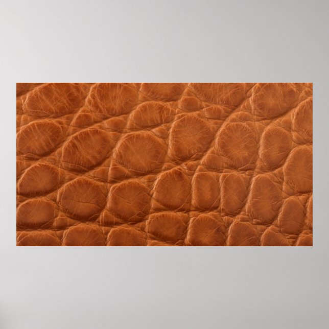 Affiche Véritable texture en cuir d'alligator brun brun br (Devant)