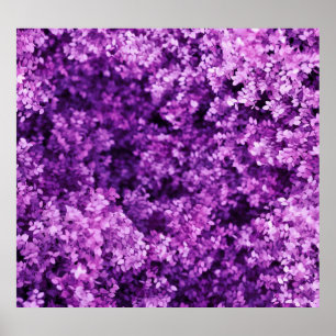 Affiche Véritable tricot, arrière - plan texturé.