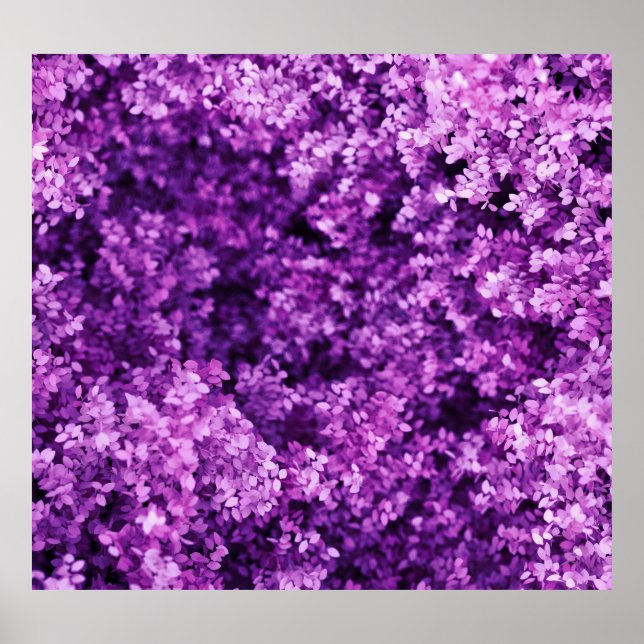 Affiche Véritable tricot, arrière - plan texturé. (Devant)