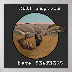 Affiche Véritables Rapaces