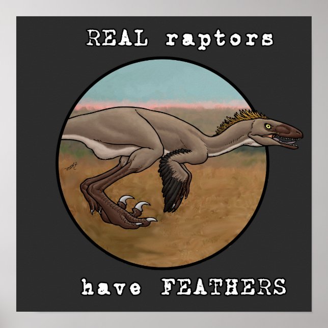 Affiche Véritables Rapaces (Devant)