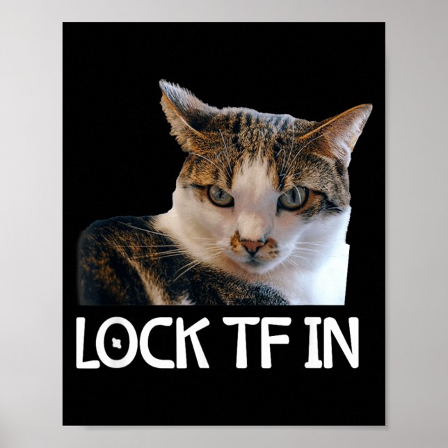 Affiche Verrouille Tf dans Cat Focus Mindset Meme Drôle (Devant)