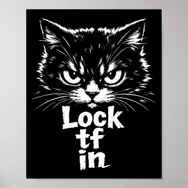 Affiche Verrouiller TF dans Chat (Devant)