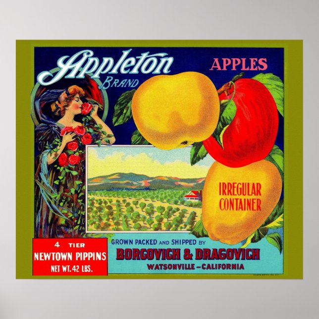 Affiche vers 1900 Appleton Apples crate étiquette (Devant)