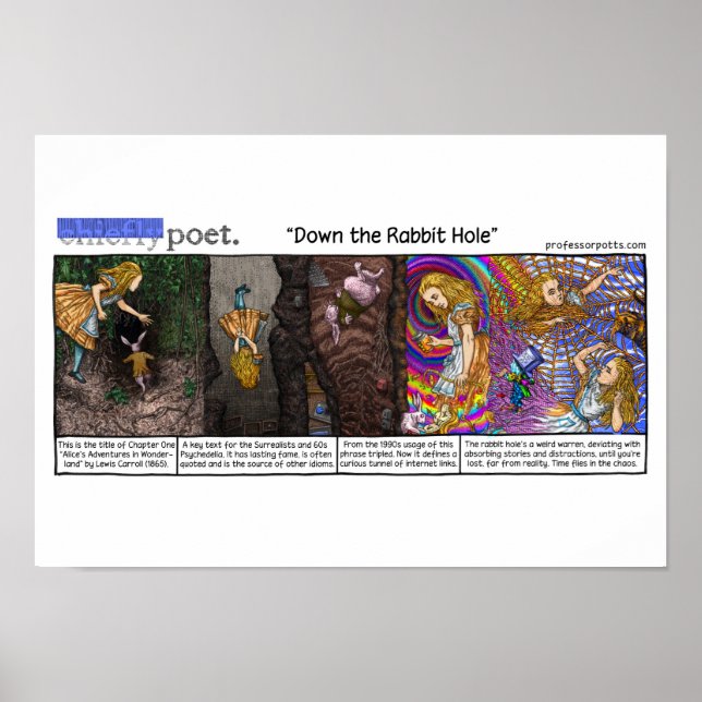 Affiche Vers le bas du trou de lapin (Devant)