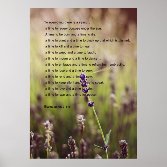 Affiche Verse Ecclesiastes (Devant)