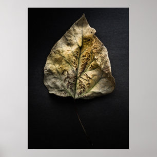 Affiche Version couleur feuille no 1