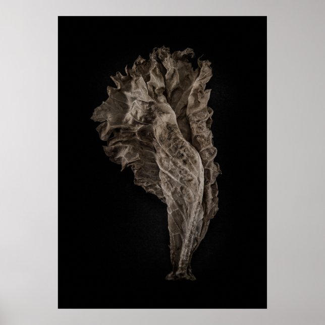 Affiche Version couleur feuille no 8 (Devant)