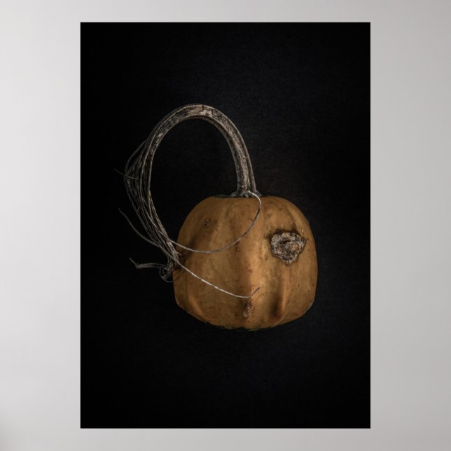 Affiche Version couleur Gourds No 13 (Devant)