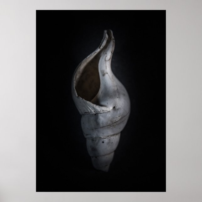 Affiche Version couleur n° 4 (Devant)