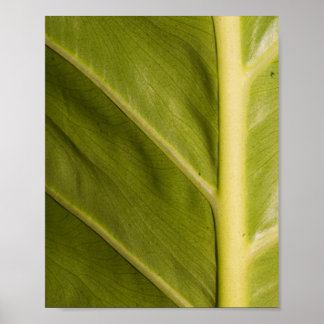 Affiche Vert 01
