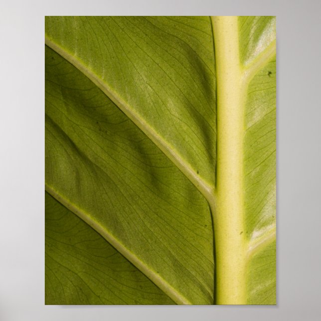 Affiche Vert 01 (Devant)