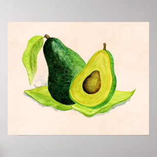 Affiche Vert Avocado Fruit à vie morte en aquarelle