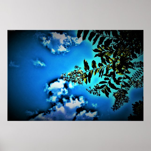 Affiche Vert sur bleu, (Devant)