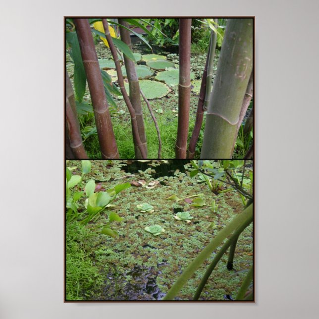 Affiche vert sur l'eau (Devant)