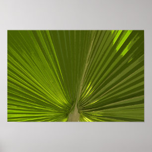 Affiche Vert Tropical Palm Tree Frond