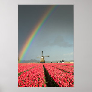 Affiche verticale arc-en-ciel, tulipes et moulin à