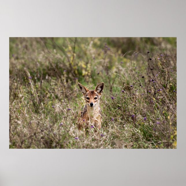 Affiche Veste dans l'herbe (Devant)