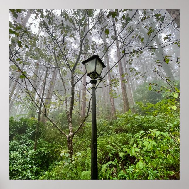 Affiche Vibes portugaises (Devant)