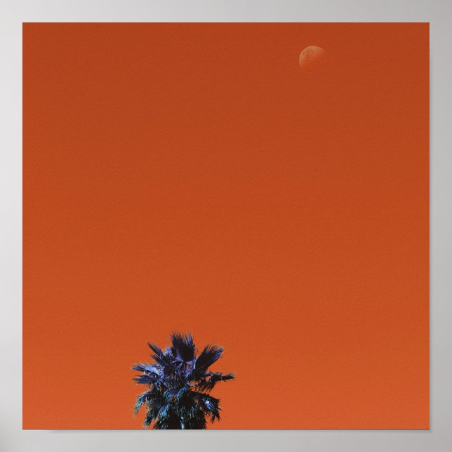 Affiche Vibes positives Minimalisme de la lune de palmiers (Devant)