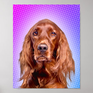 Affiche Vibrant Irish Setter Pop Art