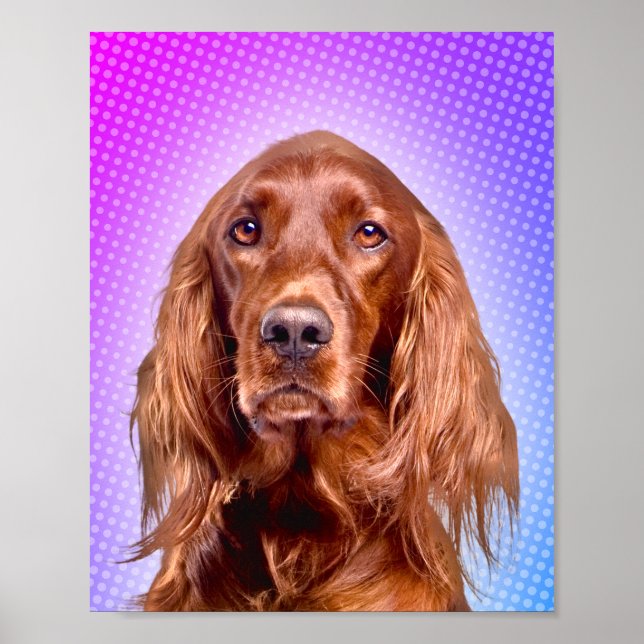 Affiche Vibrant Irish Setter Pop Art (Devant)