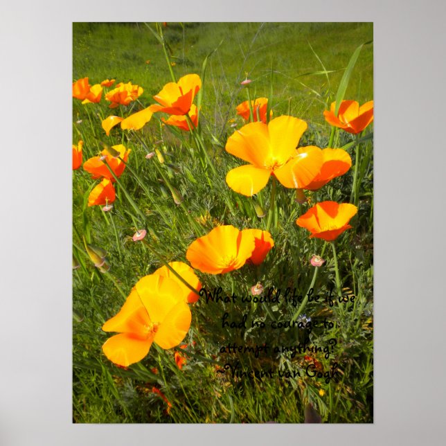 Affiche Vie (Devant)