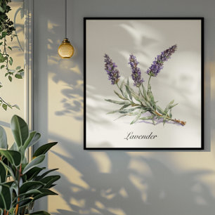 Affiche Vie de plantes : Lavande, personnalisable