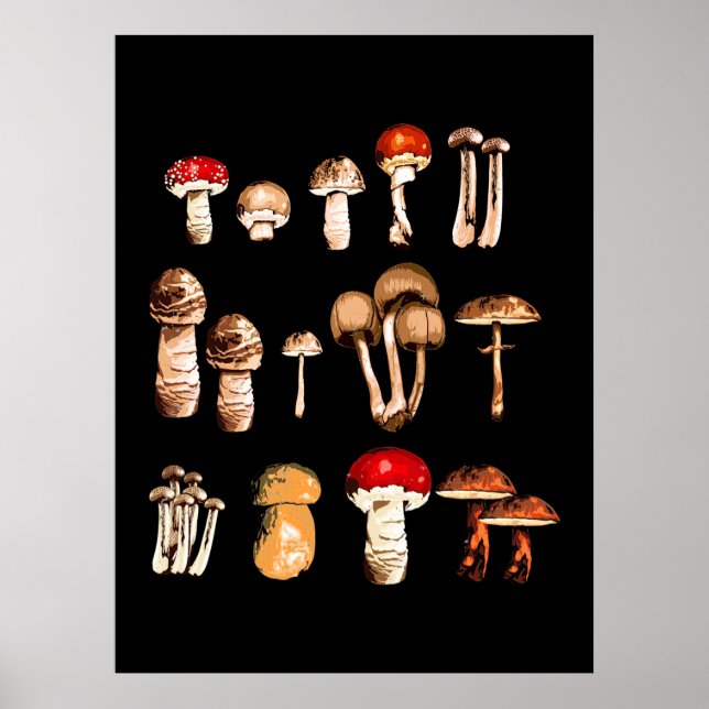 Affiche Vie du champignon Picker (Devant)
