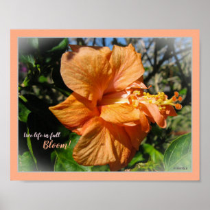 Affiche Vie en pleine floraison Hibiscus floraux
