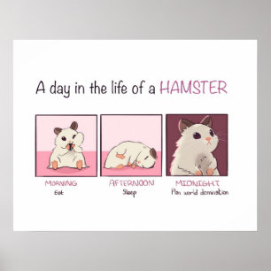 Affiche Vie Hamster