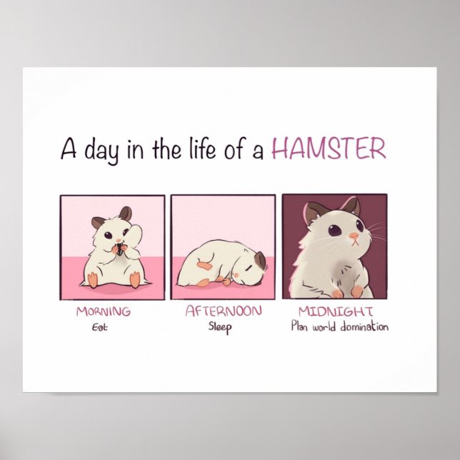 Affiche Vie Hamster (Devant)