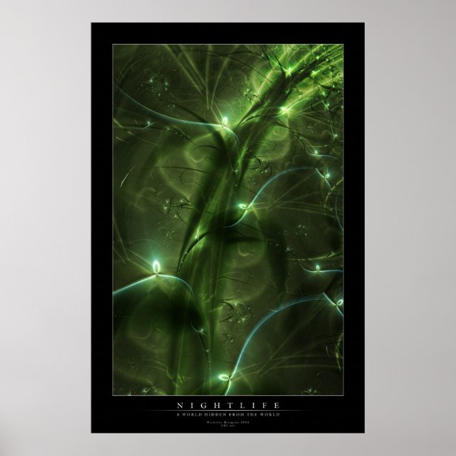 Affiche Vie nocturne (Devant)