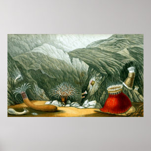 Affiche Vie sous-marine Cinq sur dix